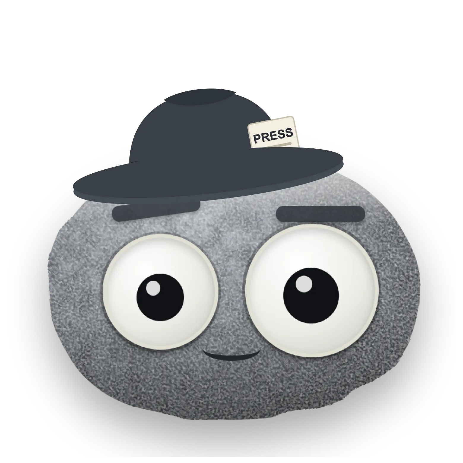 Weather Rock wearing a press hat
